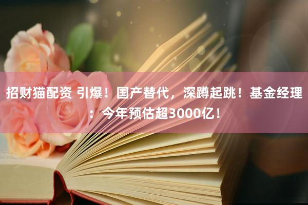招财猫配资 引爆！国产替代，深蹲起跳！基金经理：今年预估超3000亿！