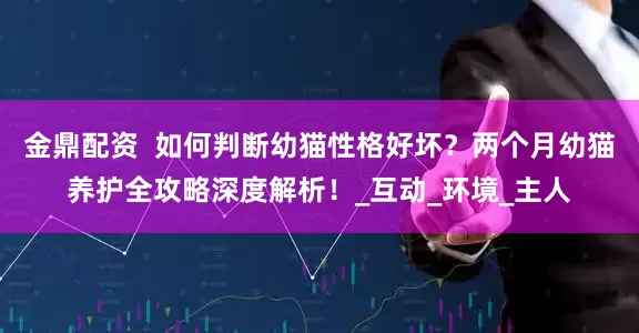 金鼎配资  如何判断幼猫性格好坏？两个月幼猫养护全攻略深度解析！_互动_环境_主人