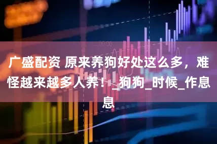 广盛配资 原来养狗好处这么多，难怪越来越多人养！_狗狗_时候_作息