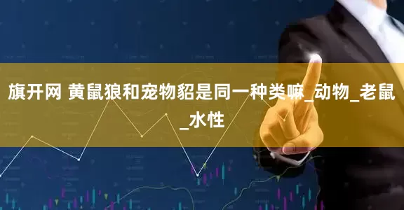 旗开网 黄鼠狼和宠物貂是同一种类嘛_动物_老鼠_水性