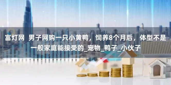 富灯网  男子网购一只小黄鸭，饲养8个月后，体型不是一般家庭能接受的_宠物_鸭子_小伙子