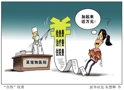顶级配资 资质不全 收费混乱 劣药泛滥宠物医疗市场“野蛮生长”调查