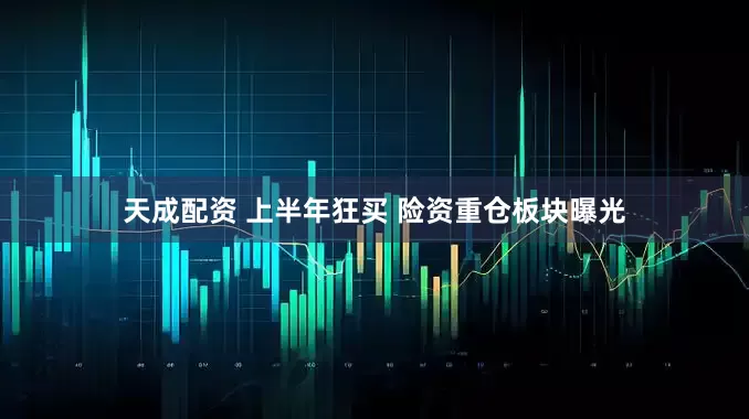 天成配资 上半年狂买 险资重仓板块曝光