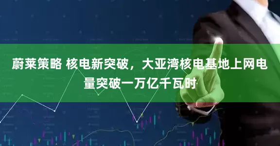 蔚莱策略 核电新突破，大亚湾核电基地上网电量突破一万亿千瓦时