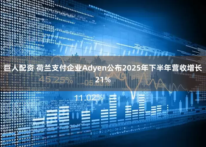 巨人配资 荷兰支付企业Adyen公布2025年下半年营收增长21%